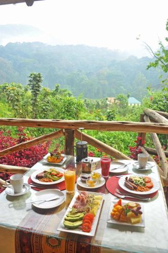 a table with plates of food on top of a mountain at Gorilla Safari Lodge in Rubuguli