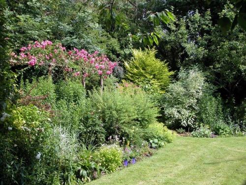 Winterbourne Cottage – Photos 2