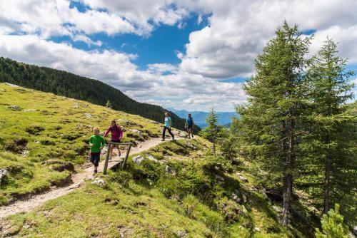 a group of people walking down a trail on a hill at Nockberge Lodge in Bad Kleinkirchheim