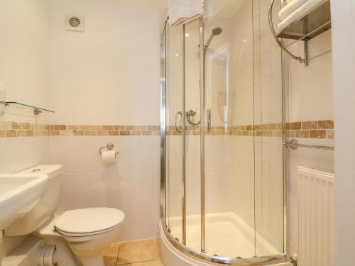 a bathroom with a shower and a toilet and a sink at Beach Lodge in Woolacombe