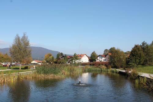 a person in a boat in a river at Gästehaus Fidelis in Grafenwiesen