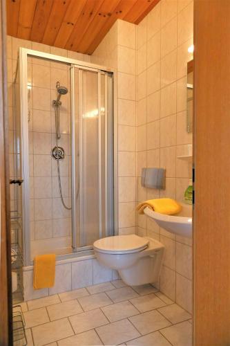 a bathroom with a shower and a toilet and a sink at Gästehaus Fidelis in Grafenwiesen