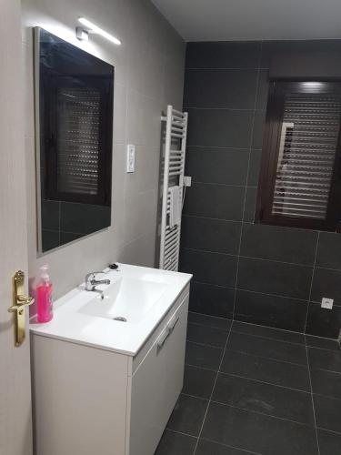 a bathroom with a white sink and a mirror at Paraiso del Alberche in Navaluenga