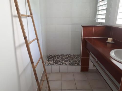 a ladder in a bathroom with a shower at Résidence Azuréa in Le Gosier