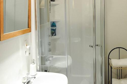 La salle de bains est pourvue d'une douche et d'un lavabo. dans l'établissement Le Clos des Brumes Chalet, à Chateau Richer