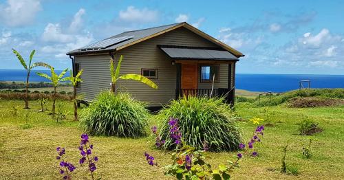 een klein huis in een veld met bloemen bij Maunga Roa Eco Lodge in Hanga Roa
