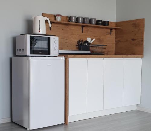 Kuchyňa alebo kuchynka v ubytovaní Willa "Aparthause" E-Apartamenty