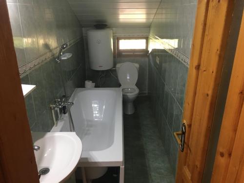 a small bathroom with a toilet and a sink at Vila Corsarul in Crisan