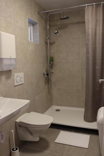a bathroom with a shower and a toilet and a sink at Höfn Hostel in Höfn