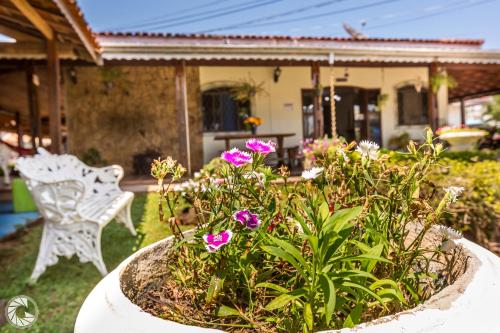 a pot of flowers in a yard with a bench at Pousada das Estrelas Atibaia in Atibaia