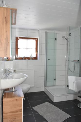 een badkamer met een wastafel, een toilet en een douche bij Ferienwohnung Lohra in Lohra