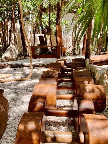a row of wooden benches in a park with trees at Bufo Alvarius in Tulum