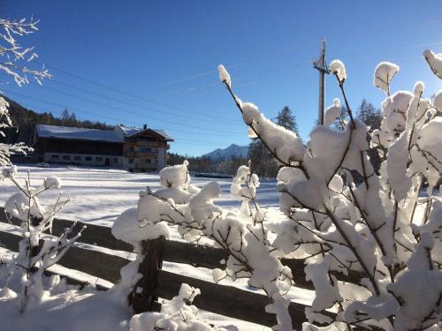 a bush covered in snow next to a fence at Bucherhof in Obsteig
