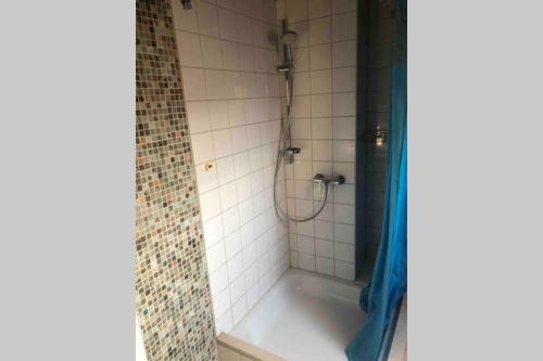 a bathroom with a shower with a bath tub at Hauckwald Apartment 2 in Alzenau in Unterfranken