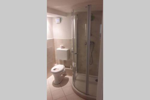 een badkamer met een douche en een toilet bij Studio Alzenau in Alzenau in Unterfranken