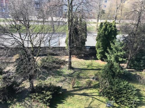 Gallery image of Apartament Gosia in Nysa