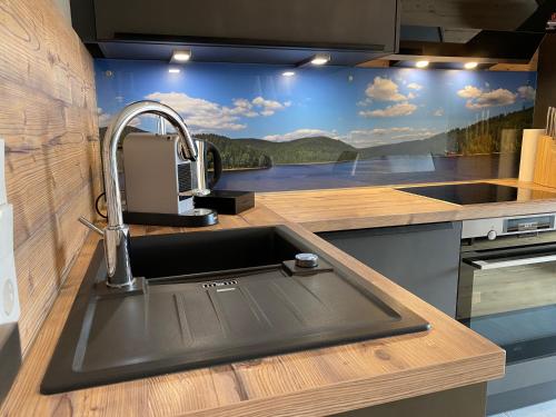 Cucina o angolo cottura di Braunlage Lodge