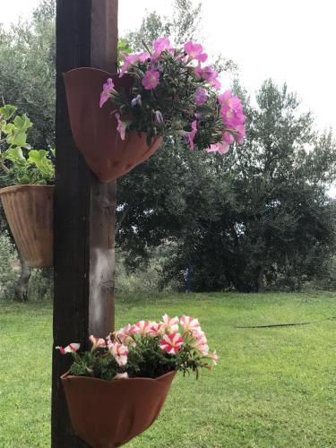 Agriturismo Pingitoreにある庭