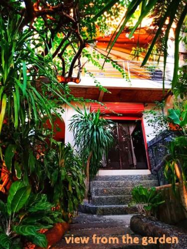 Zahrada ubytování Sun & Sea Home Stay