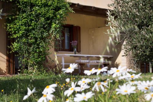 a picnic table in a garden with white flowers at Terremesu a Castiadas Villasimius Costa Rei in Castiadas