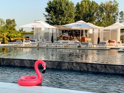 Gallery image of Hotel Bora Bora velipoja in Velipojë