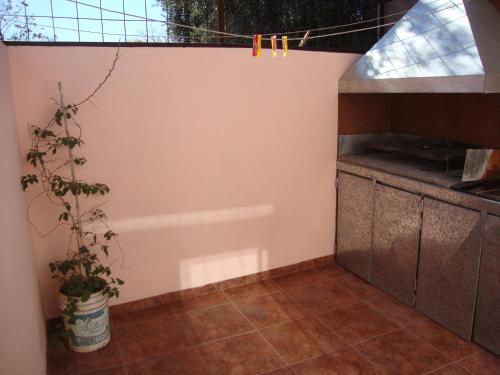 uma cozinha com um balcão e uma planta em Los Nietos Departamentos em Mendoza