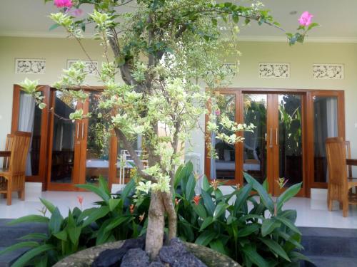 a bonsai tree in a room with plants at Suryadina Guest House in Ubud