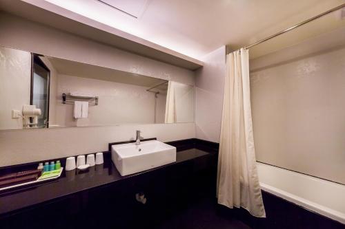 a bathroom with a sink and a mirror at 華麗大飯店Ferrary Hotel in Taipei