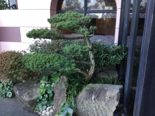 Imagen de la galería de Hotel Saiyo Wakigawa, en Hirado