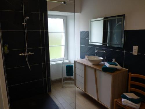 ein Bad mit einem Waschbecken und einer Dusche mit einem Spiegel in der Unterkunft chateau de Craon in Comblessac