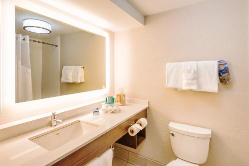 uma casa de banho com um lavatório, um WC e um espelho. em Holiday Inn Express Charleston US Highway 17 & I-526, an IHG Hotel em Charleston