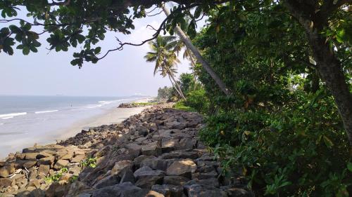 a rocky beach with trees and the ocean at Sea Hut Homestay in Cochin