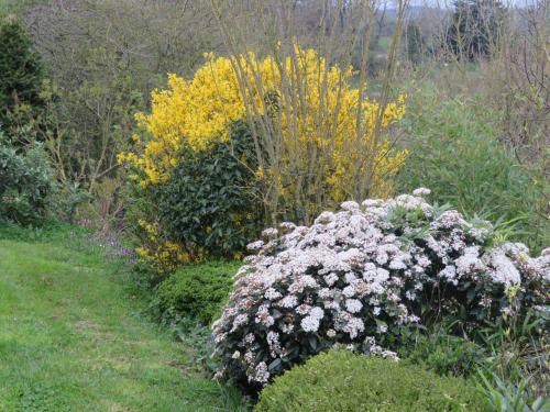 a garden with pink and white flowers and bushes at Ecrin de Verdure in Sainte-Suzanne