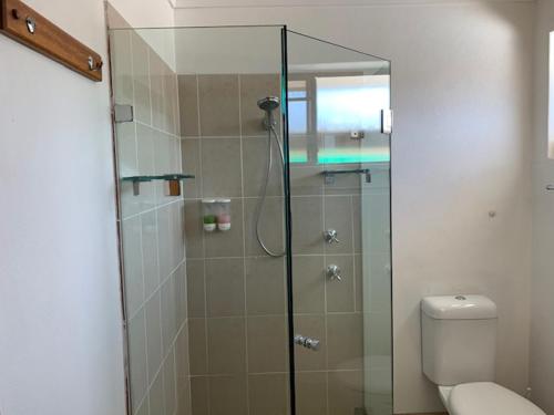a bathroom with a shower, toilet, and sink at Muswellbrook Motor Inn in Muswellbrook
