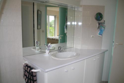 une salle de bain avec un lavabo et un miroir dans l'établissement Comfortable house with pool, idyllic sight, golf, close to ocean, à Lacanau