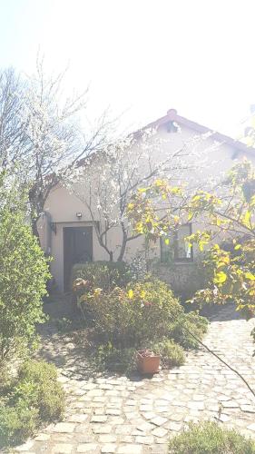 a house with a stone walkway in front of a yard at MIRABELLE in Chieulles
