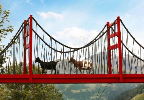 two cows standing on a red bridge at Märchenhotel in Braunwald