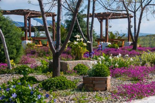 a garden with purple flowers and a gazebo at Casa Rural Cruces de Caminos in Plasencia