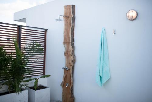 a room with a door and a potted plant at Sea view Belle Haven Penthouse in Mont Choisy