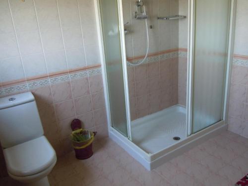 a bathroom with a shower and a toilet at Il Farfasole in Vigonovo