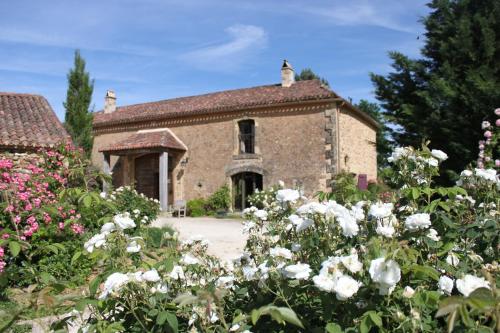 Gallery image of Chambres d'Hôtes Léone Haute in Saint-Avit-Rivière