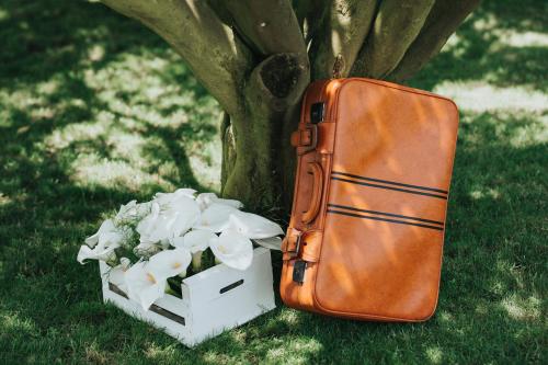 a suitcase and a box of flowers next to a tree at Casa Valxisto in Penafiel