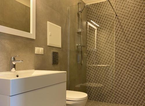 リエパーヤにあるGlamour apartmentのトイレ、洗面台、シャワー付きのバスルーム