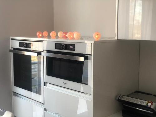 Gallery image of Summer residence in Zvejniekciems