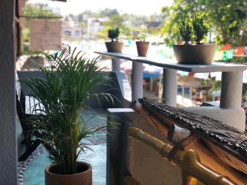 a group of potted plants sitting on a balcony at Refugio del Cielo # in Sayulita