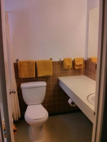 a bathroom with a toilet and a sink at Shamrock Motel in Valleyview