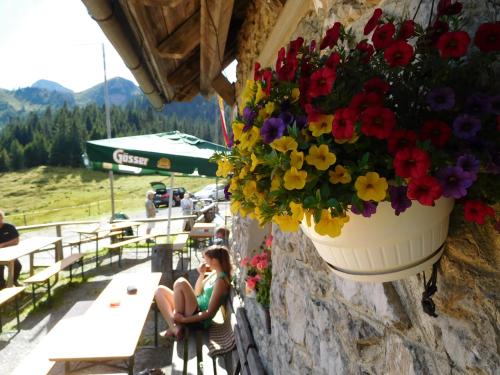 a woman sitting next to a wall with a pot of flowers at Straniger Alm in Stranig