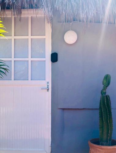 a cactus in a pot in front of a door at Refugio del Cielo # in Sayulita