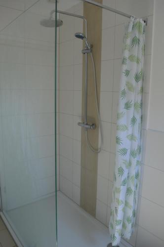 eine Dusche mit Glastür und Duschvorhang in der Unterkunft City-Apartment Bad Schussenried in Bad Schussenried