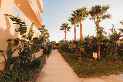 Gallery image of Casa De Ortiz in Rosarito